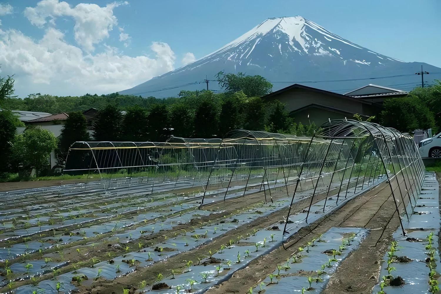 20241027144301 20241027144301